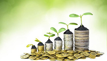 Mutual Funds